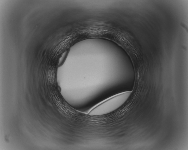 X0000100981300200806241139