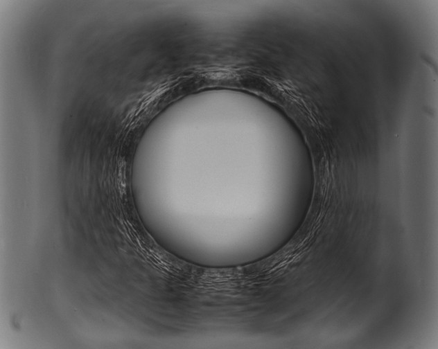 X0000100981301200806241139