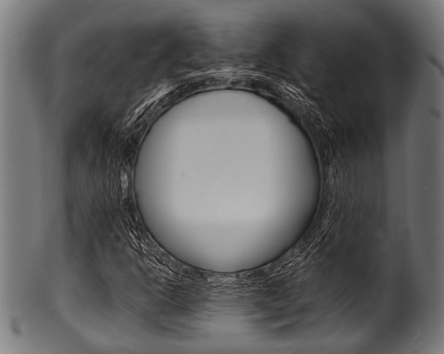 X0000100981302200806241139