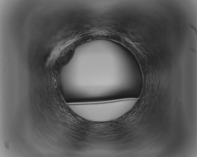 X0000100981303200806241139