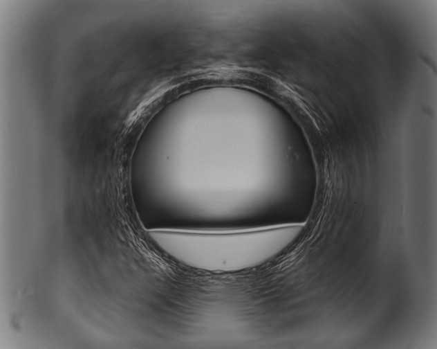 X0000100981304200806241139