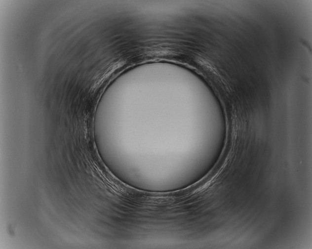 X0000100981305200806241139