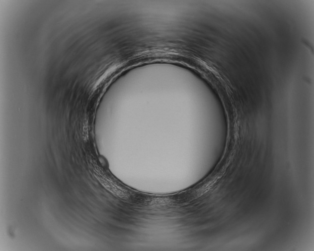 X0000100981306200806241139