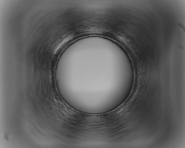 X0000100981307200806241139