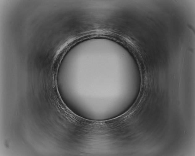 X0000100981310200806241139