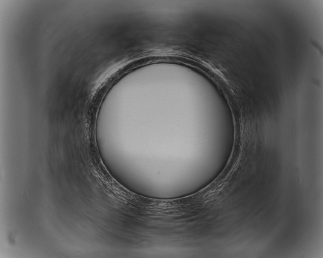X0000100981311200806241139