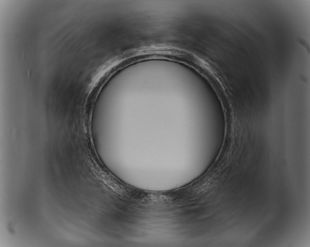 X0000100981312200806241139