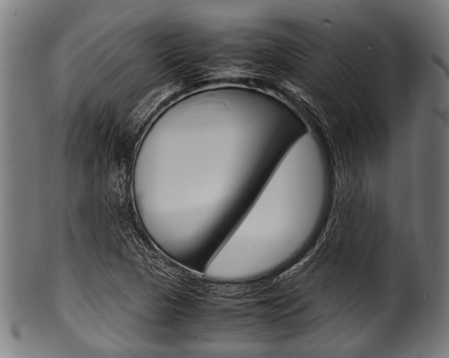 X0000100981313200806241139