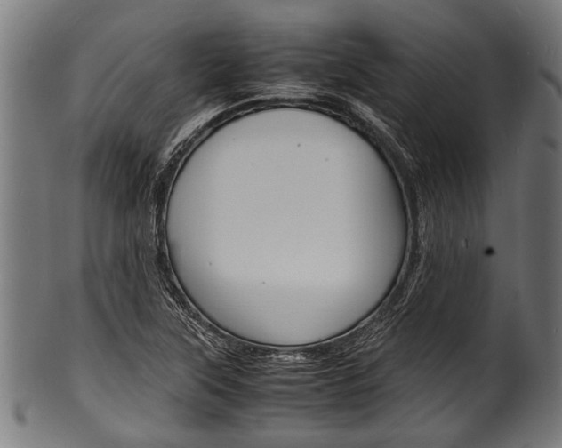 X0000100981315200806241139