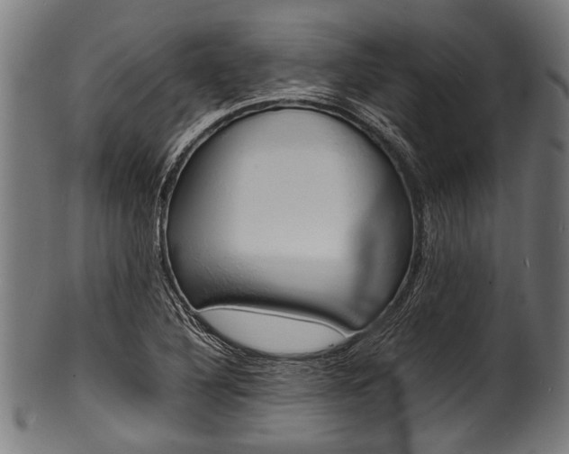X0000100981316200806241139