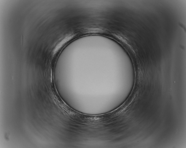 X0000100981317200806241139