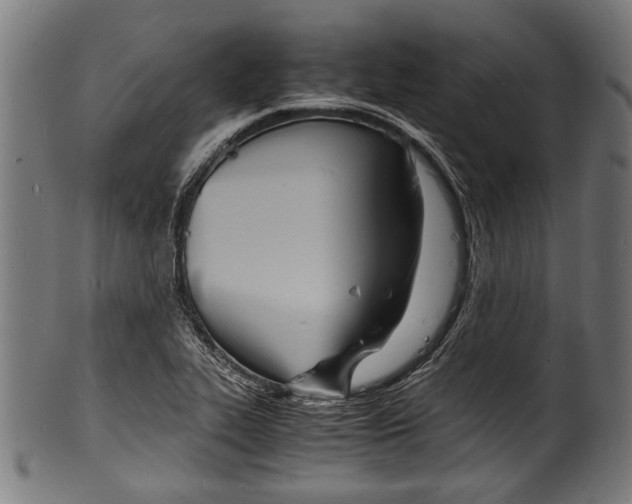 X0000100981319200806241139