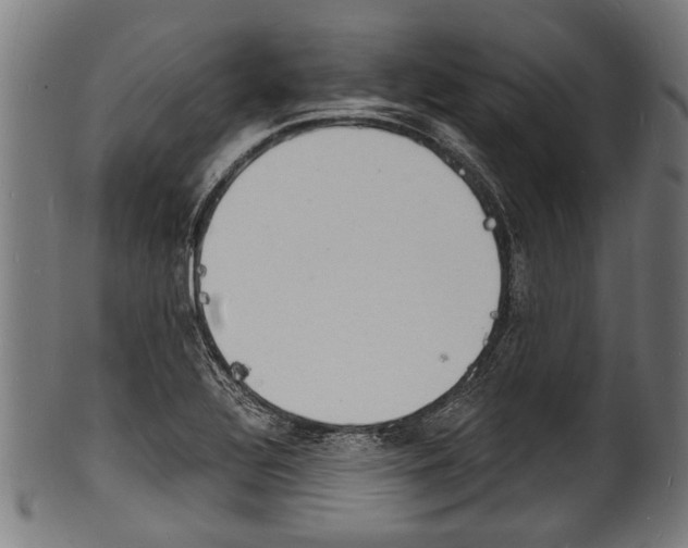 X0000100981320200806241139