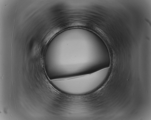 X0000100981321200806241139