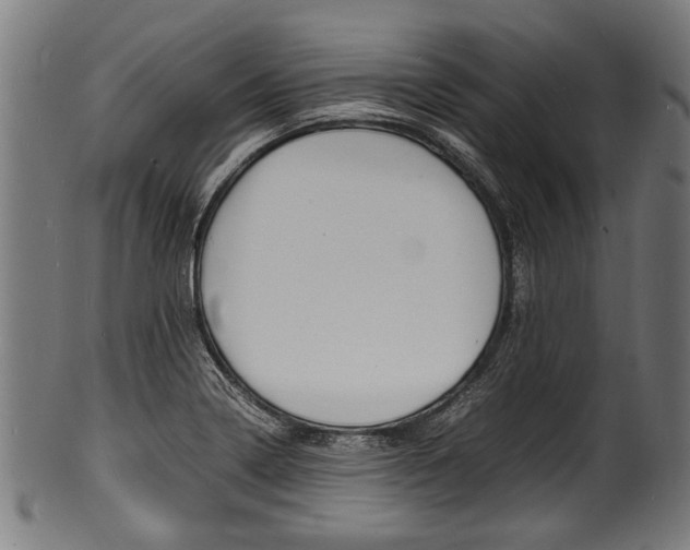 X0000100981322200806241139