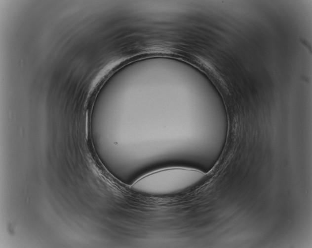 X0000100981323200806241139