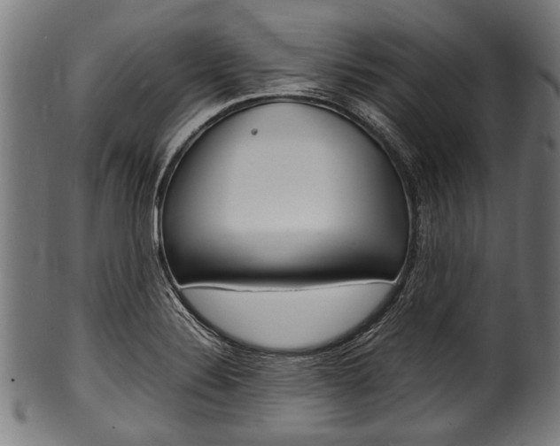 X0000100981324200806241139