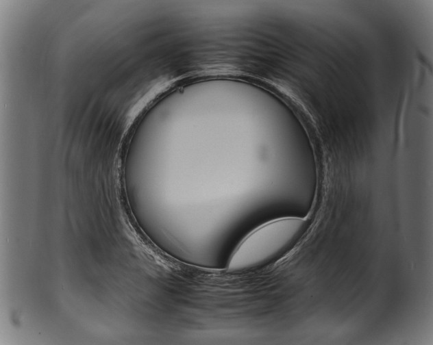 X0000100981325200806241139