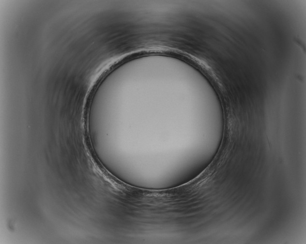 X0000100981327200806241139