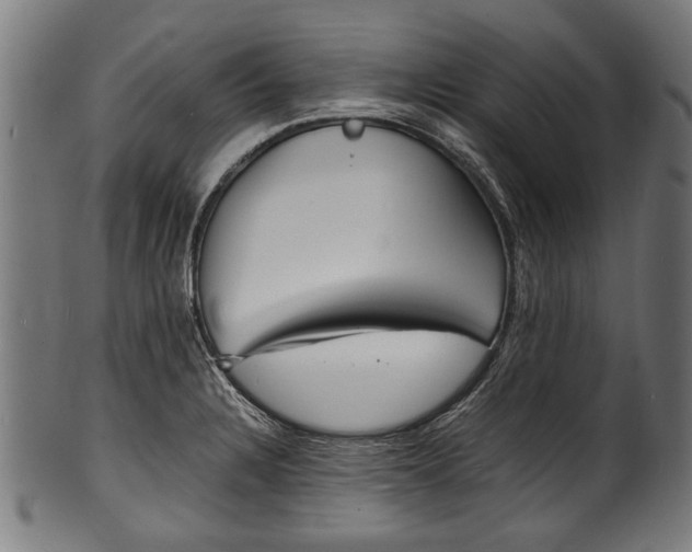 X0000100981328200806241139