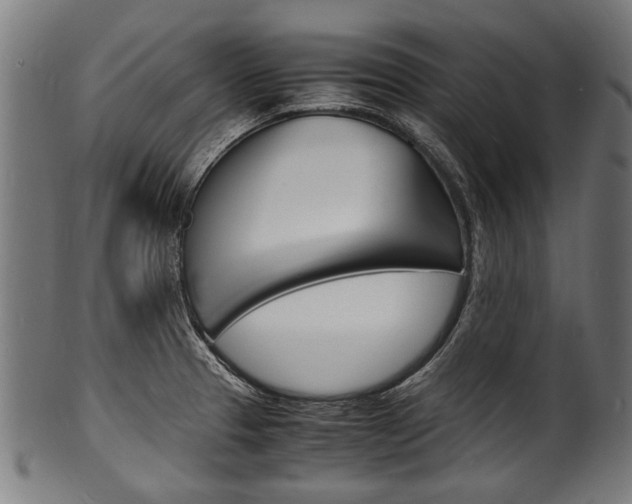 X0000100981329200806241139