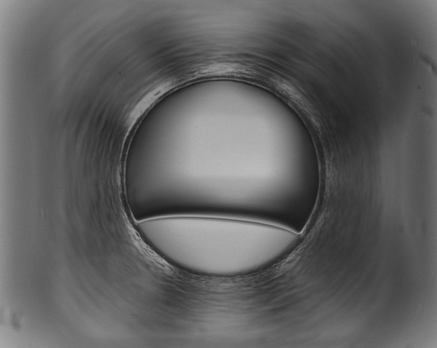 X0000100981330200806241139
