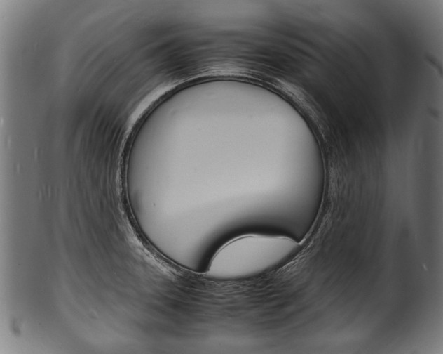 X0000100981331200806241139