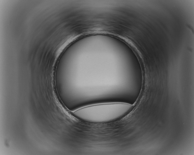 X0000100981333200806241139