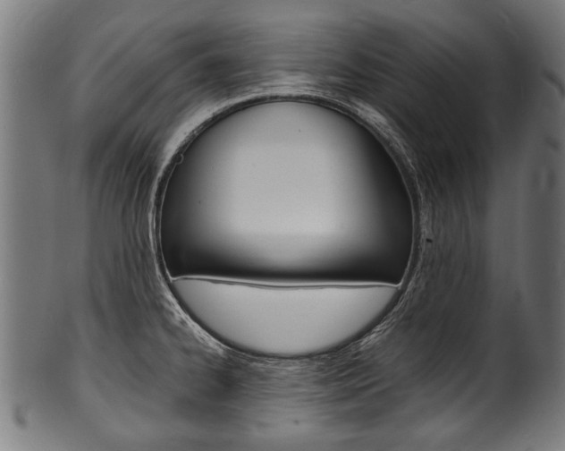 X0000100981334200806241139
