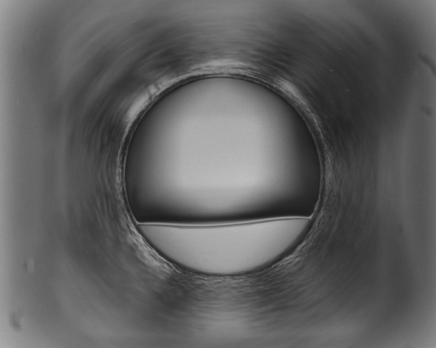 X0000100981336200806241139
