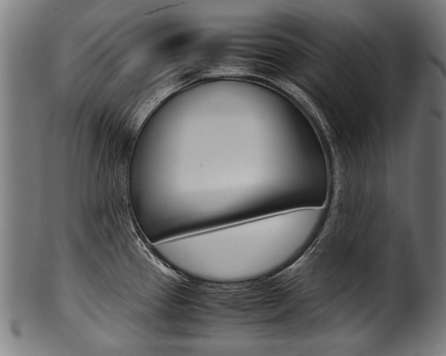 X0000100981337200806241139