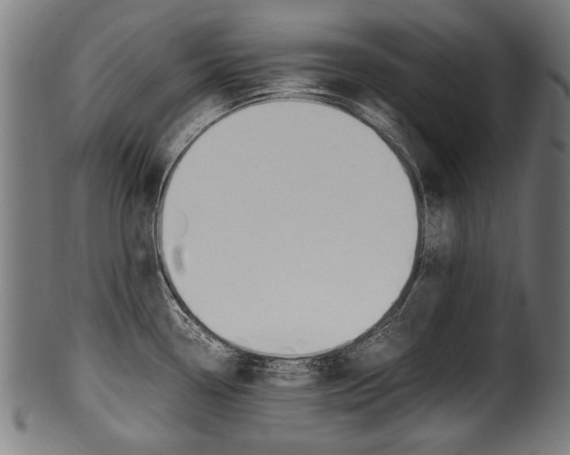 X0000100981338200806241139