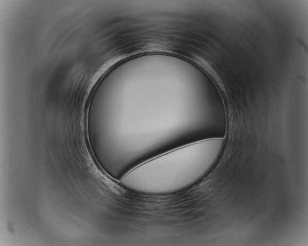 X0000100981339200806241139