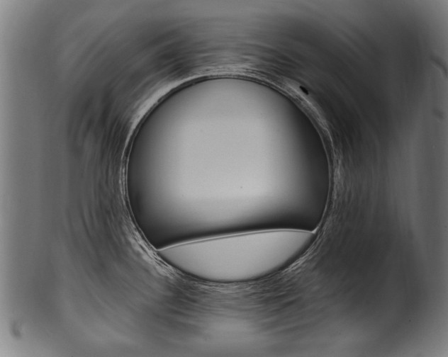 X0000100981340200806241139
