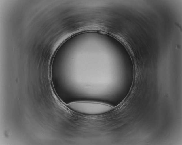 X0000100981342200806241139