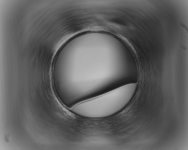 X0000100981343200806241139