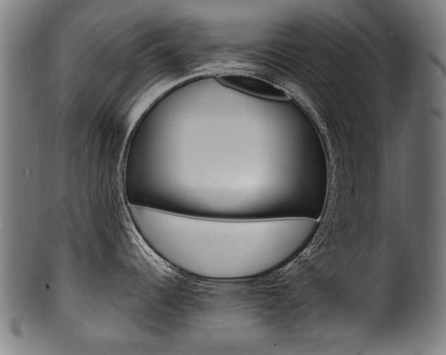 X0000100981344200806241139