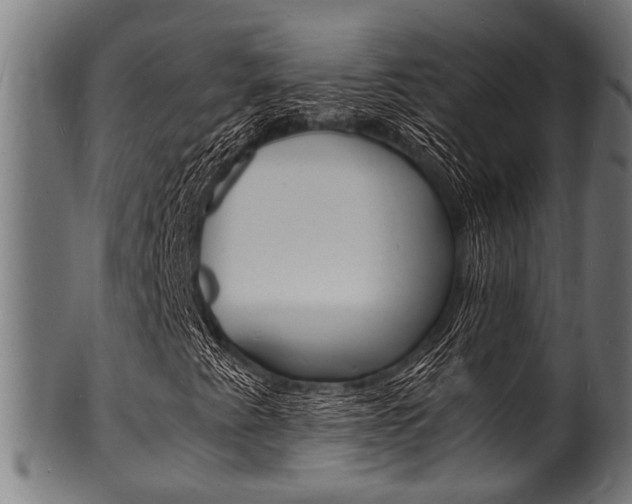 X0000100981345200806241139