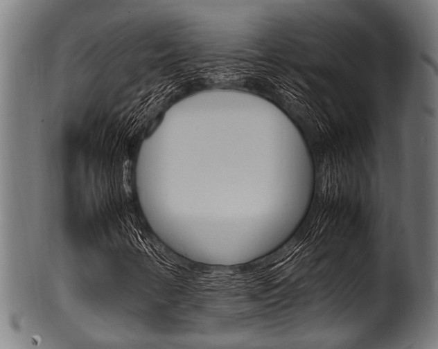 X0000100981346200806241139