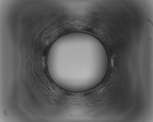X0000100981347200806241139