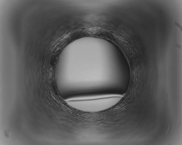 X0000100981349200806241139