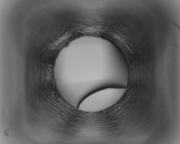 X0000100981350200806241139
