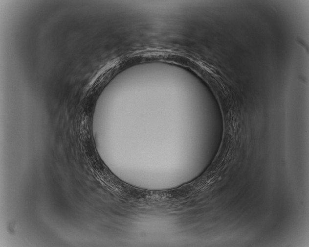 X0000100981351200806241138
