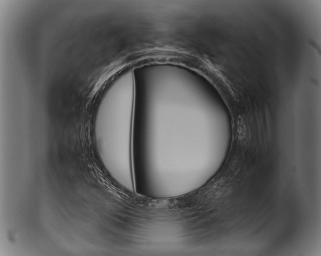 X0000100981352200806241138