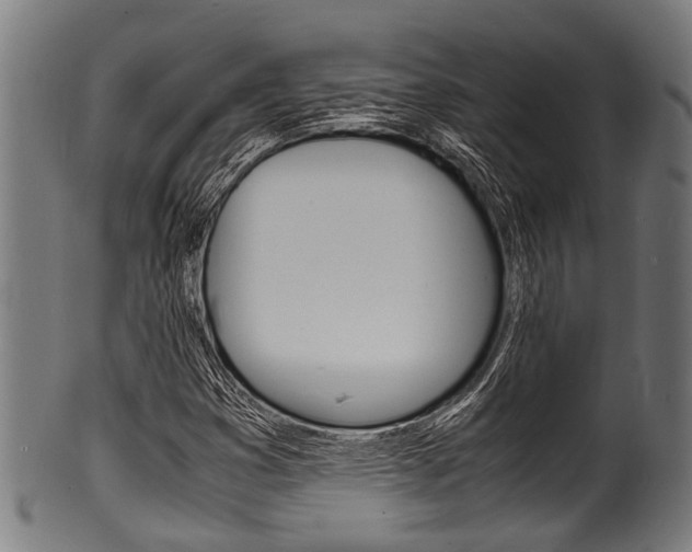 X0000100981353200806241138