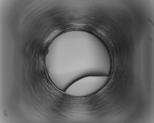 X0000100981354200806241138