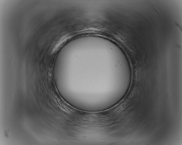 X0000100981355200806241138