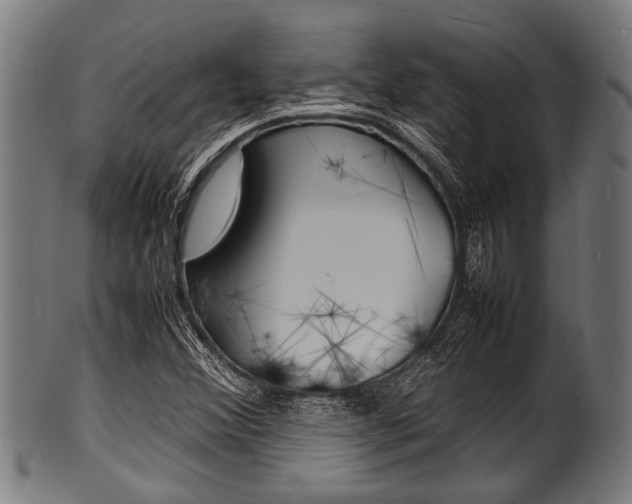 X0000100981356200806241138