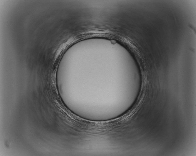 X0000100981357200806241138