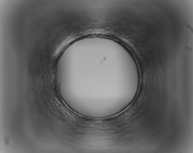 X0000100981359200806241138